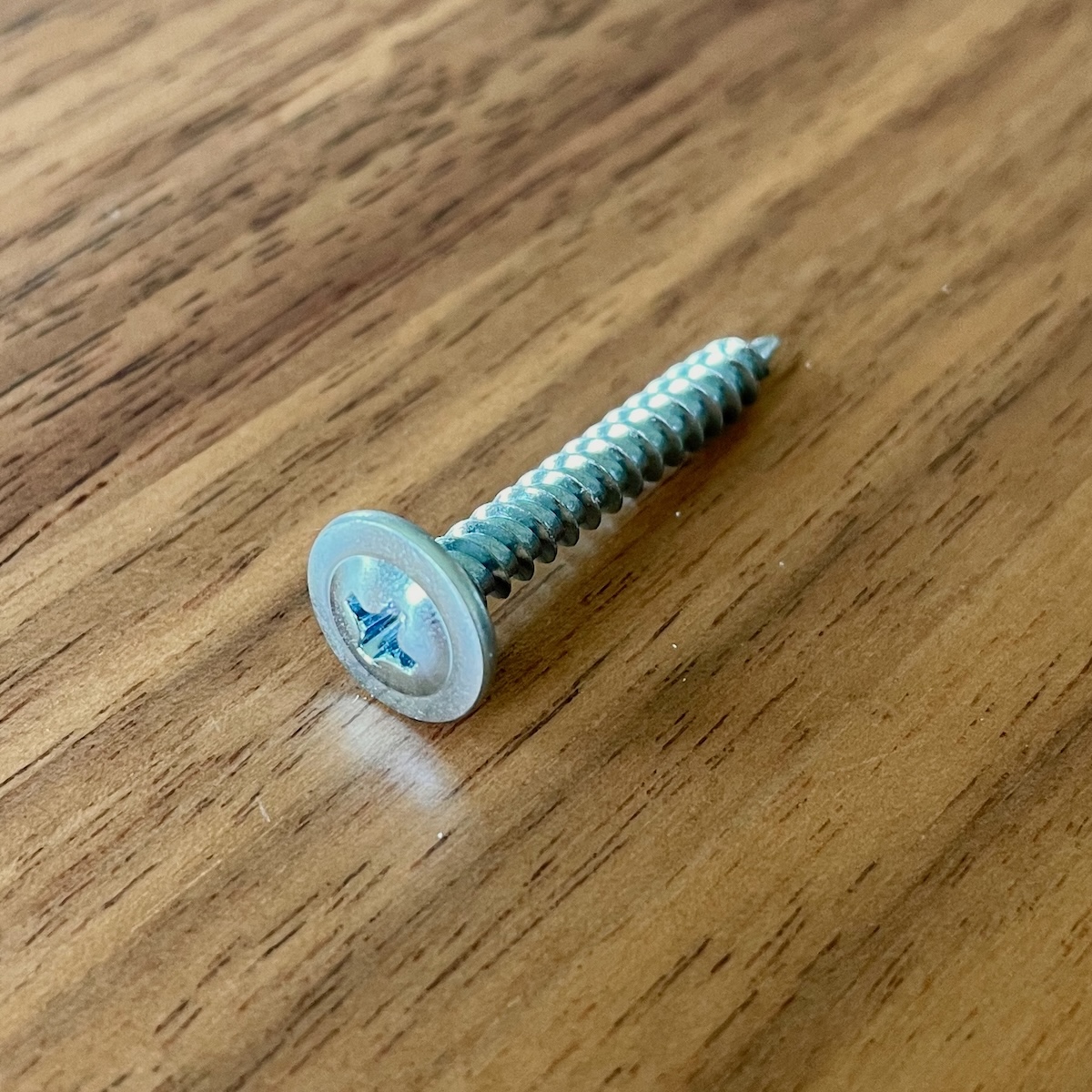 Photo of the screw.